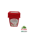 Pasta de chile GOCHUJANG SEMPIO 12/500g 韩国SEMPIO辣椒酱*红盒 12/500g